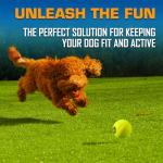 Nerf Dog Tennis Ball Launcher with 3 Balls