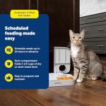 PetSafe 2 Meal Programmable Pet Feeder