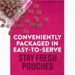 Juicy Meat Dog Treats - Steak Flavor