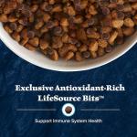 Blue Buffalo Wilderness High-Protein Senior Dog Food