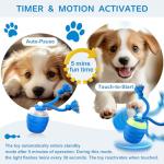 Interactive Automatic Dog Ball for Medium/Large Dogs