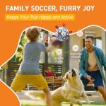 QDAN Premium Dog Training Soccer Ball Toy