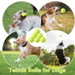 ZIYIZE Mini Tennis Balls - 6 Pack for Dogs