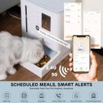 iPettie 2-in-1 Automatic Pet Feeder and Waterer