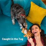 BluBrk Plush Giraffe Dog Toy with Squeakers