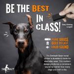 Devault Gear Black Dog Clicker with Necklace