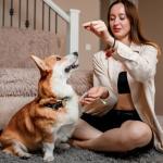 32 Pack Colorful Dog Training Clickers with Straps