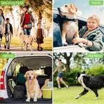 Dog Treat Pouch with Clickers and Adjustable Straps