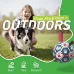 QDAN Premium Dog Training Soccer Ball Toy