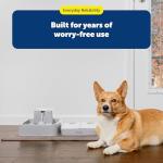 PetSafe 2 Meal Programmable Pet Feeder