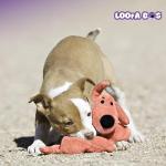 Multipet Loofa Plush Dog Toy - Squeaky Fun