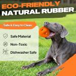 Durable Natural Rubber Dog Balls for Chewing