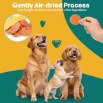 Koala Story Chicken Chips Dog Treats - 12 oz