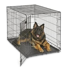 MidWest 48-Inch Folding Dog Crate with Divider