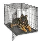 MidWest 48-Inch Folding Dog Crate with Divider