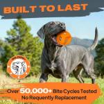 Durable Natural Rubber Dog Balls for Chewing