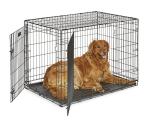 42-Inch Two-Door Folding Dog Crate with Divider