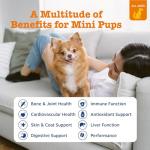 Zesty Paws Chewable Dog Multivitamins - 90ct