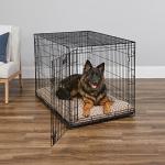 MidWest 48-Inch Folding Dog Crate with Divider