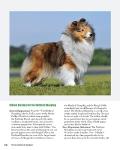Complete Dog Book: Official Breed Standards and Profiles