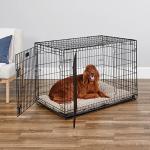 42-Inch Two-Door Folding Dog Crate with Divider