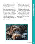 Complete Dog Book: Official Breed Standards and Profiles