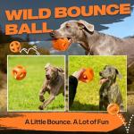Durable Natural Rubber Dog Balls for Chewing