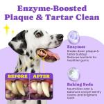 No-Rinse Dental Wipes for Dogs and Cats