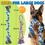 PatsFran Tough Dog Toys for Aggressive Chewers - 3 Pack