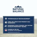 Natural Balance Puppy Dry Dog Food - 4lbs