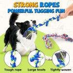 PatsFran Tough Dog Toys for Aggressive Chewers - 3 Pack
