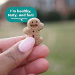 Buddy Biscuits Hip and Joint Soft Chews