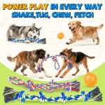 PatsFran Tough Dog Toys for Aggressive Chewers - 3 Pack