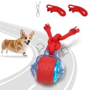 Interactive Rechargeable Dog Ball for Playtime Fun