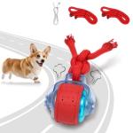 Interactive Rechargeable Dog Ball for Playtime Fun