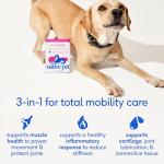 Native Pet Hip & Joint Supplement for Dogs 30 Scoops