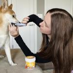 Paw Science Dog Dental Wipes and Brush Kit