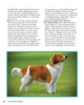 Complete Dog Book: Official Breed Standards and Profiles