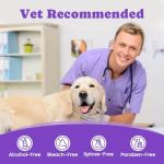 No-Rinse Dental Wipes for Dogs and Cats