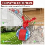 Interactive Rechargeable Dog Ball for Playtime Fun