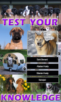 Dog Breeds Trivia Game - Fun Quiz for Dog Lovers