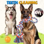 PatsFran Tough Dog Toys for Aggressive Chewers - 3 Pack