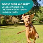 Buddy Biscuits Hip and Joint Soft Chews