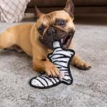 SHARLOVY Durable No Stuffing Squeaky Dog Toys