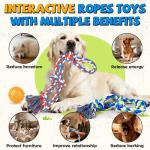 PatsFran Tough Dog Toys for Aggressive Chewers - 3 Pack