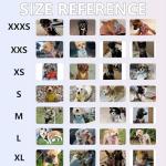 No Pull Adjustable Dog Harness and Leash Set