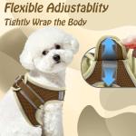 No Pull Adjustable Dog Harness and Leash Set
