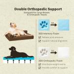 MIZZMIZZ Small Orthopedic Memory Foam Dog Bed