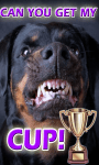 Dog Breeds Trivia Game - Fun Quiz for Dog Lovers