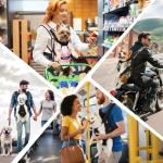 Pawaboo Legs Out Dog Carrier Backpack - Black